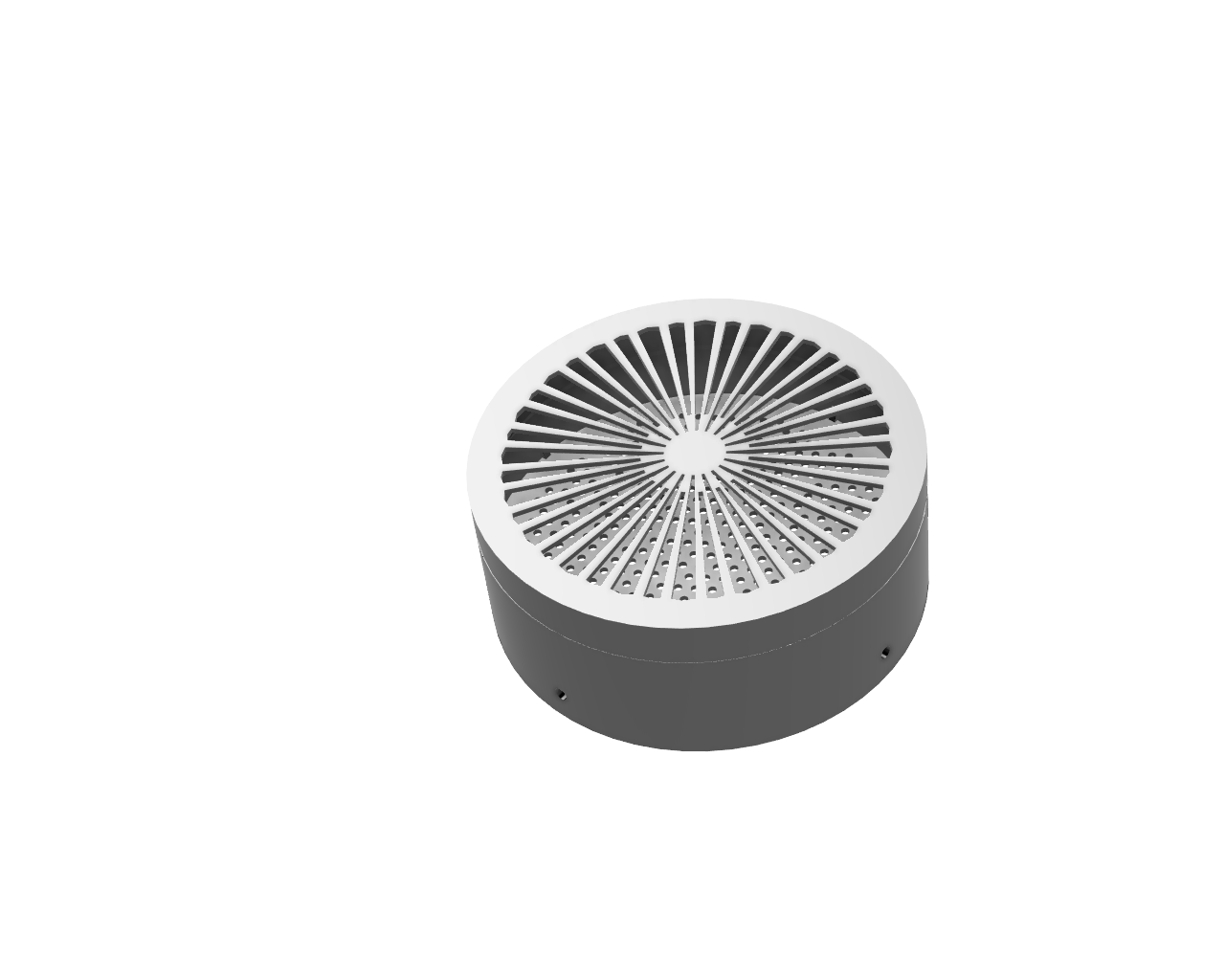 ParlaCarbon - 150mm Skimmer Carbon Cap