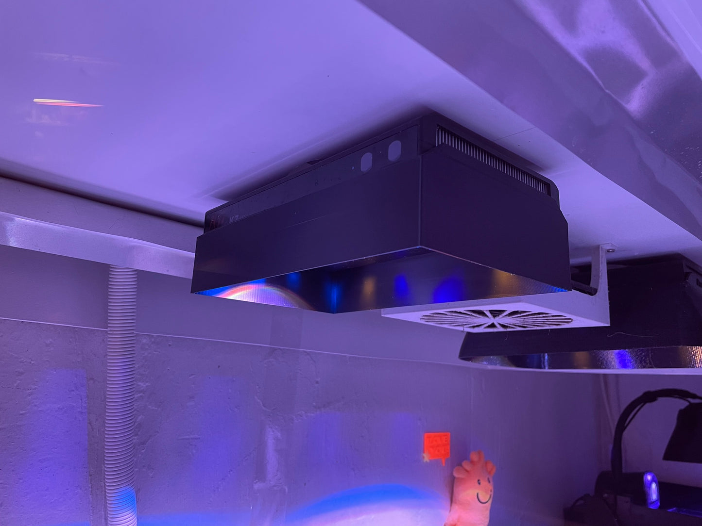 NooPsyche Reef Light K7V3/K7ProIII shade model 4