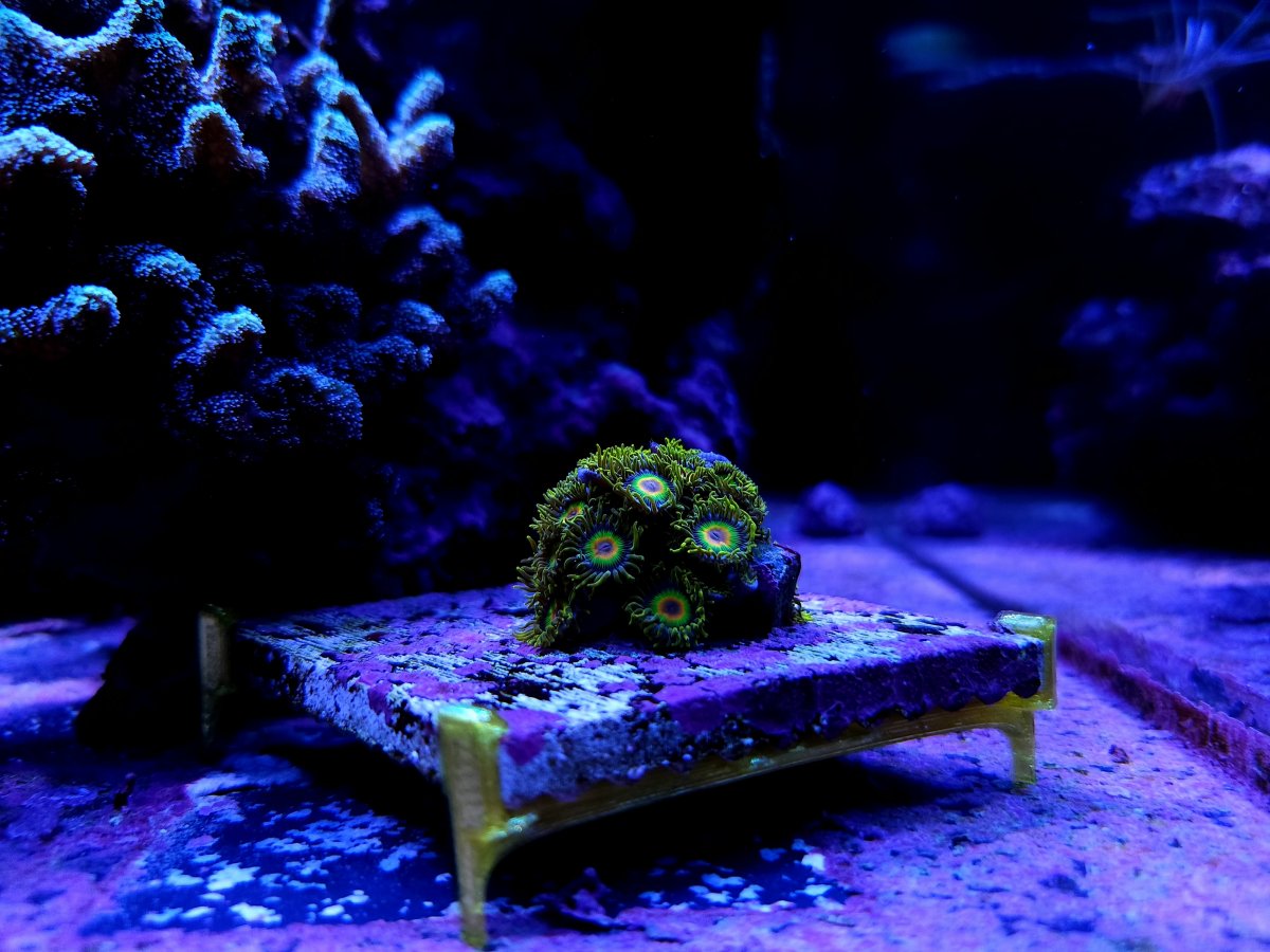 3" Tile Frag Stand model 1 (12pack)