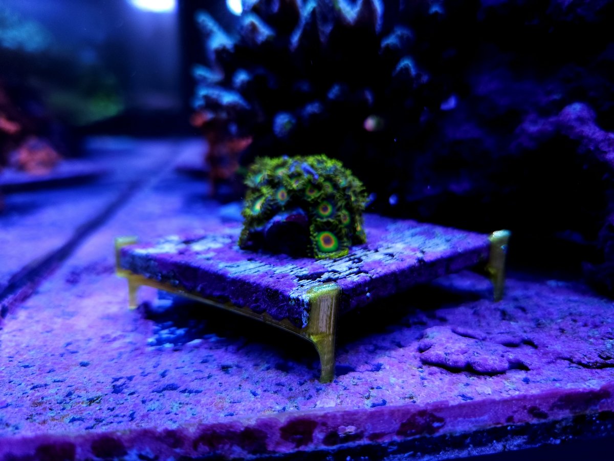 3" Tile Frag Stand model 1 (12pack)