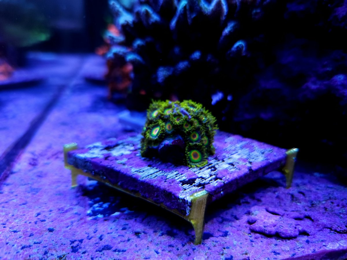 3" Tile Frag Stand model 1 (12pack)