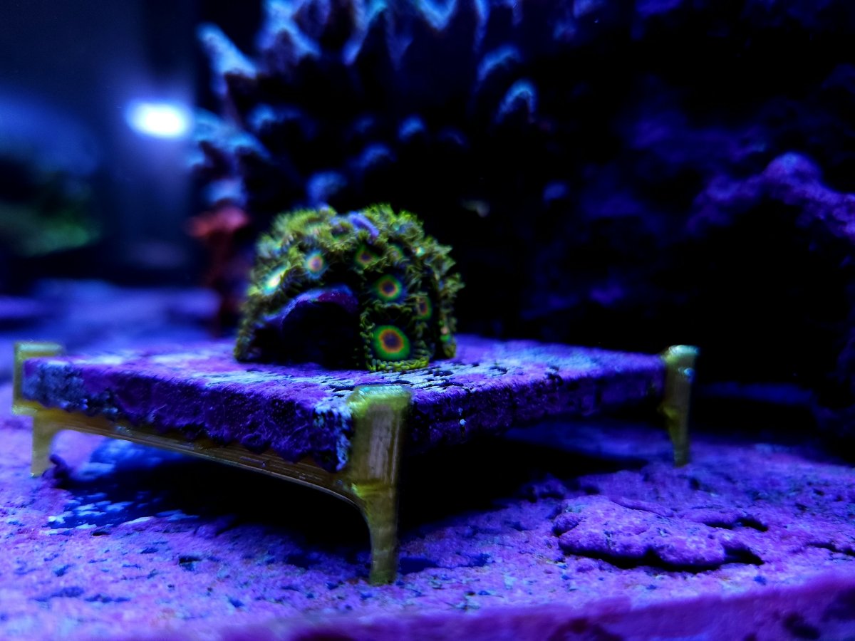 3" Tile Frag Stand model 1 (12pack)