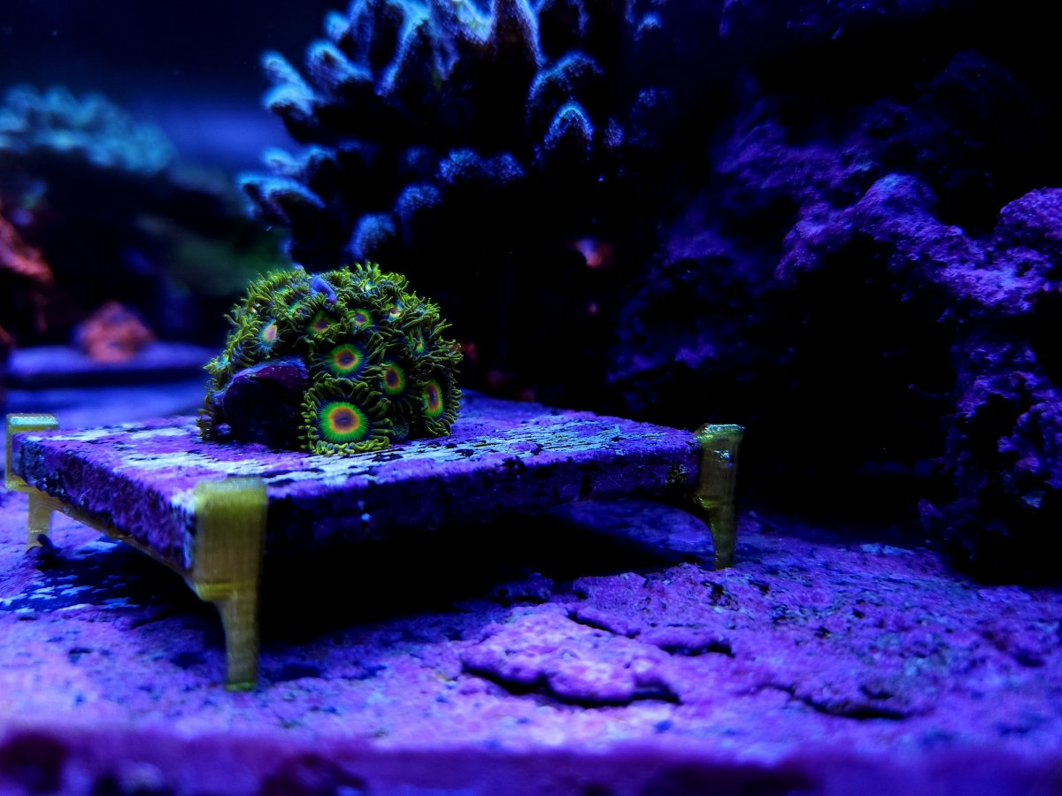 3" Tile Frag Stand model 1 (12pack)