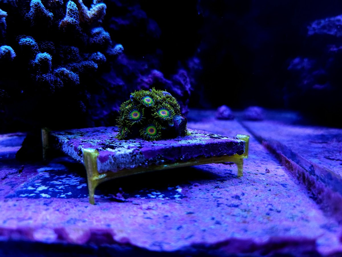 3" Tile Frag Stand model 1 (12pack)