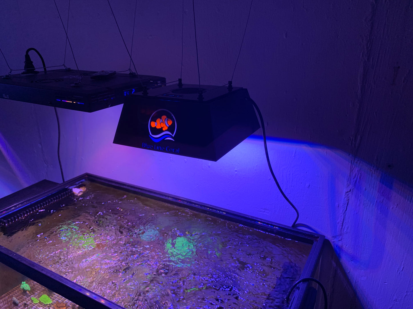 EcoTech XR15 Light Shade Model 1