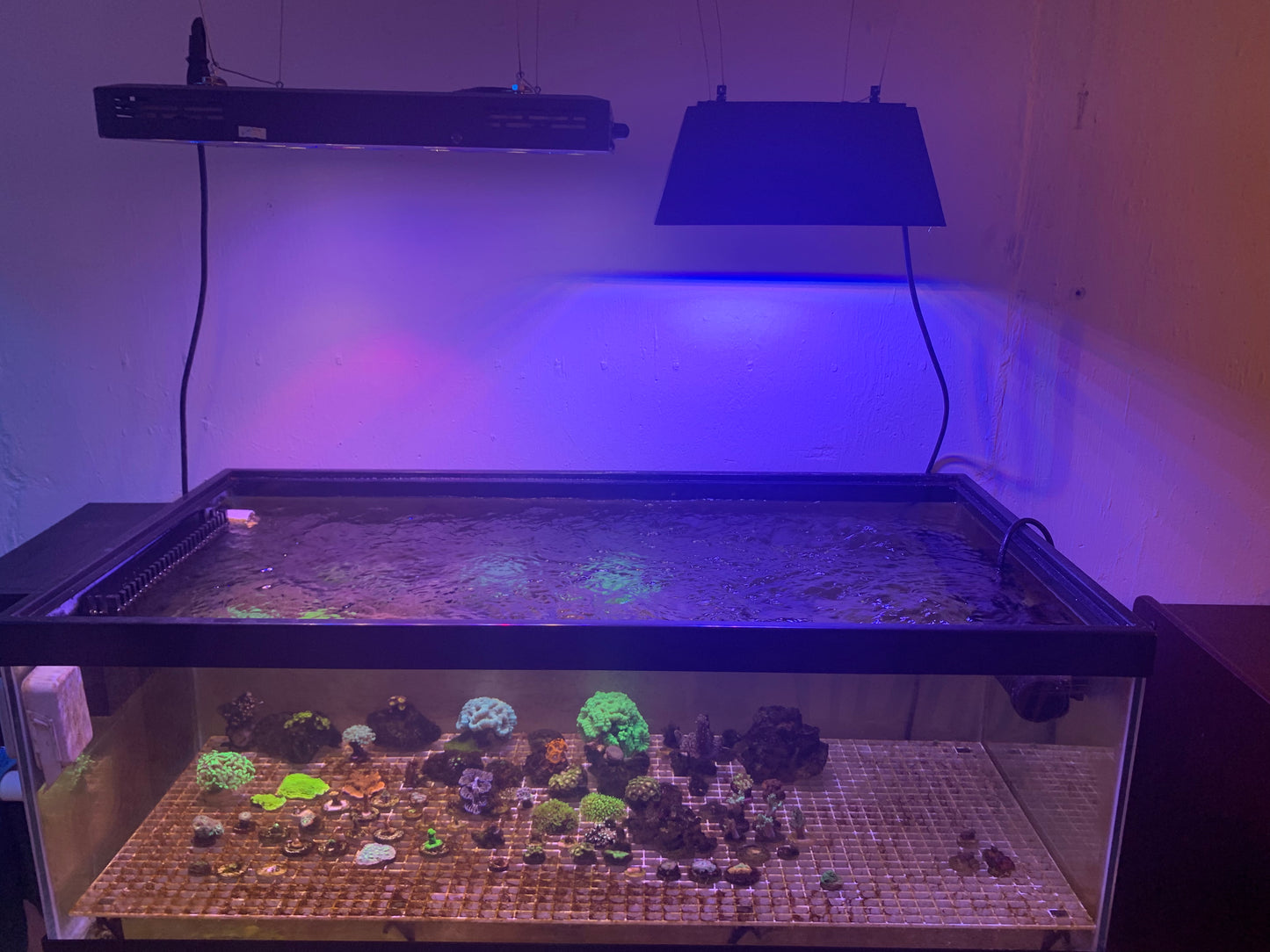 EcoTech XR15 Light Shade Model 1