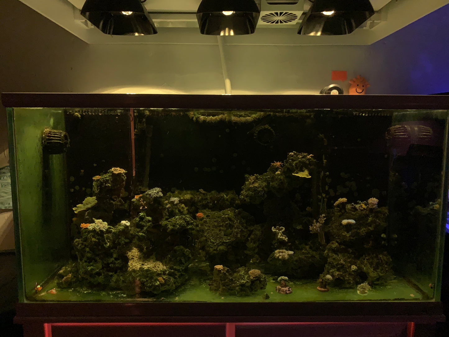 NooPsyche Reef Light K7V3/K7ProIII shade model 1