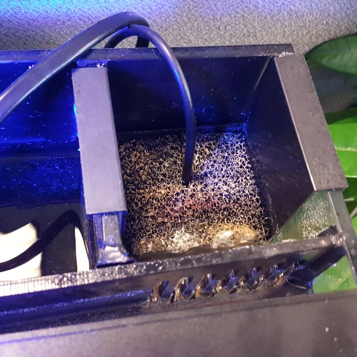 IM 20g AIO Filter Sock Cup - Filter Sock Replacement
